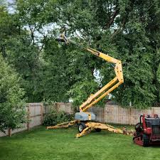 Best Leaf Removal Services  in Wolfforth, TX